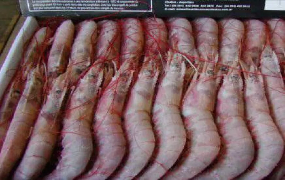 Pescados y mariscos en el Mercado Comunitario