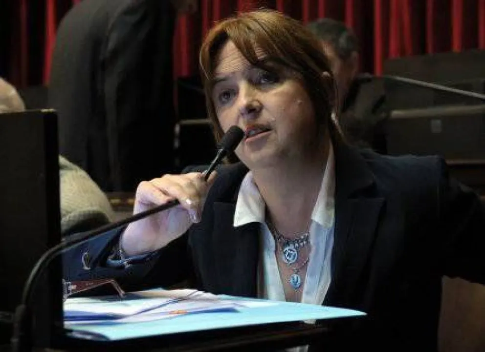 "La Ley de Hidrocarburos es la mayor entrega de soberanía en los últimos años"