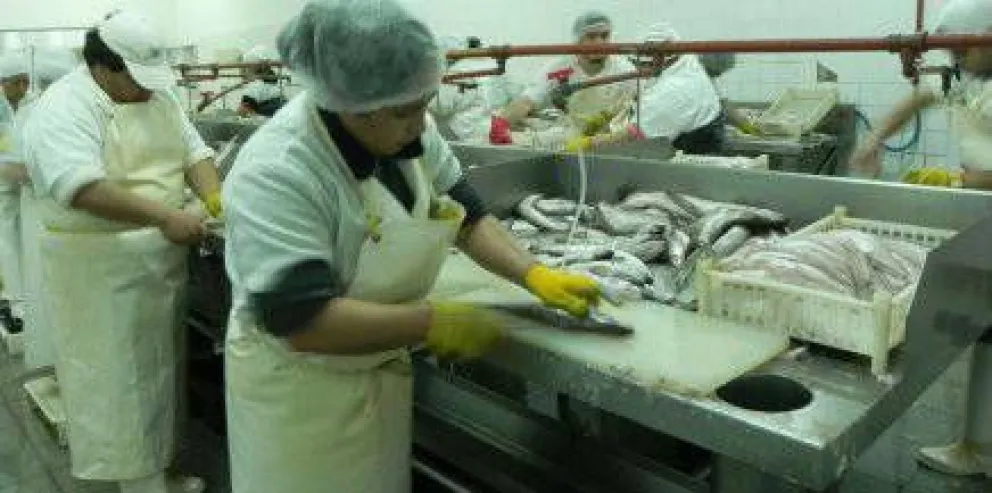 Venderán pescados frescos de San Antonio en el Mercado Municipal