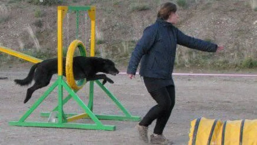 Gran desempeño de barilochenses en atractiva competición para perros