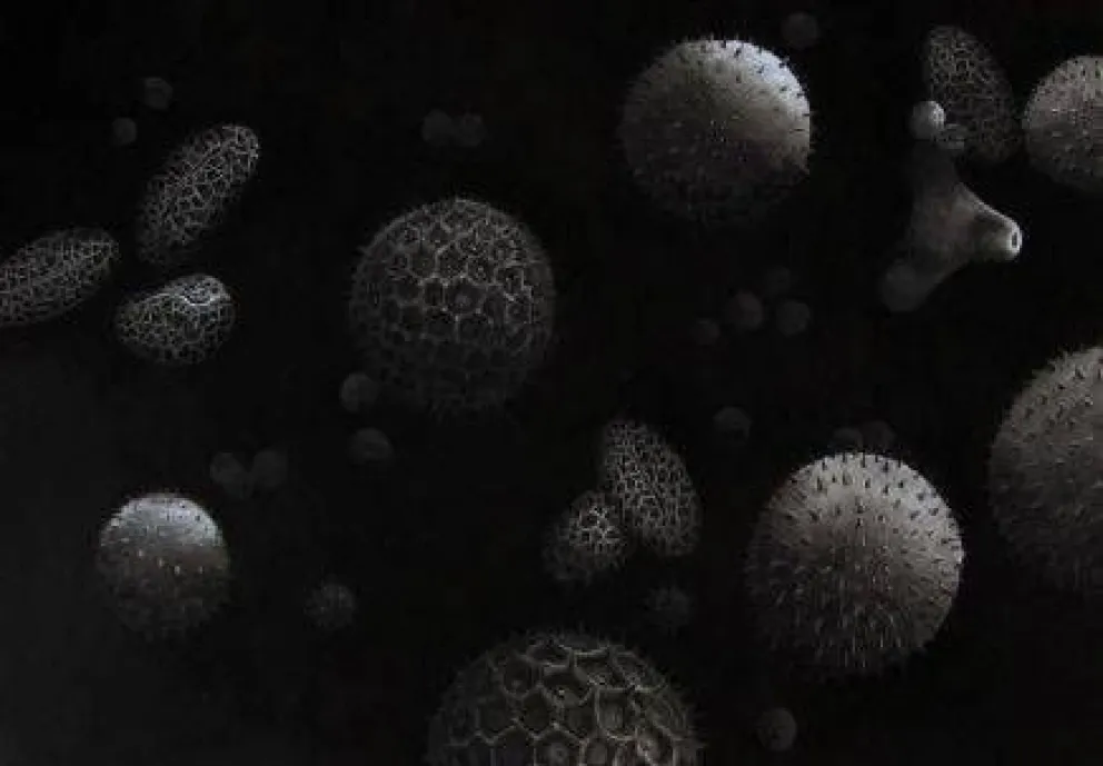 Otorgaron el "Premio a las Artes Visuales 2014"