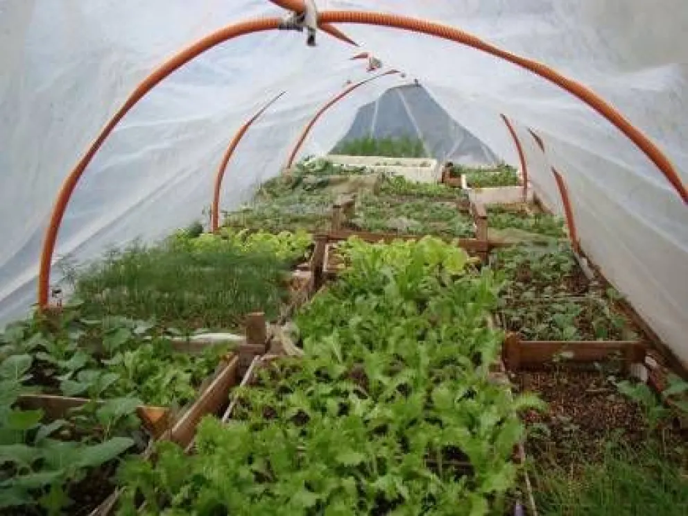 Domingo de huerta en Villa Los Coihues