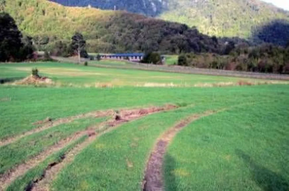 Barilochense condenado por vandalismo en el Parque Pumalín de Chile