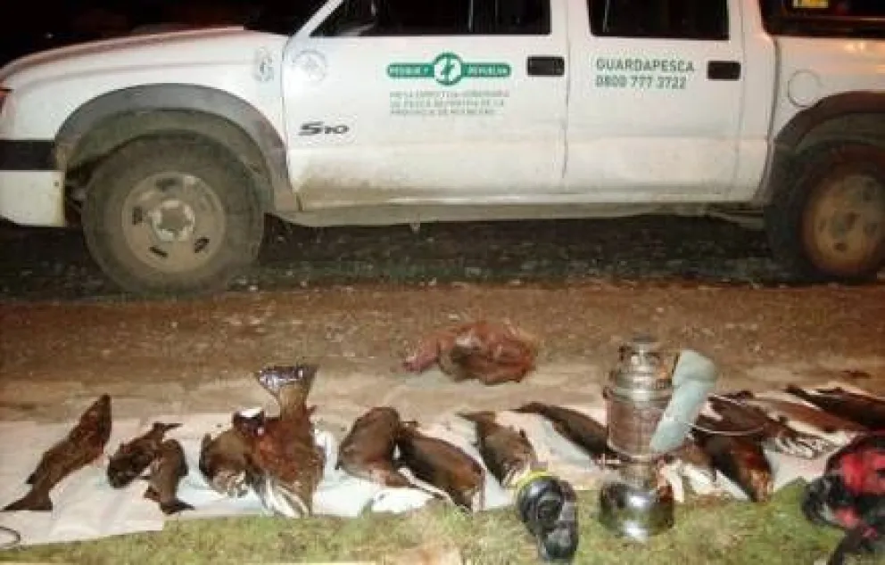 Nuevo secuestro de truchas pescadas furtivamente