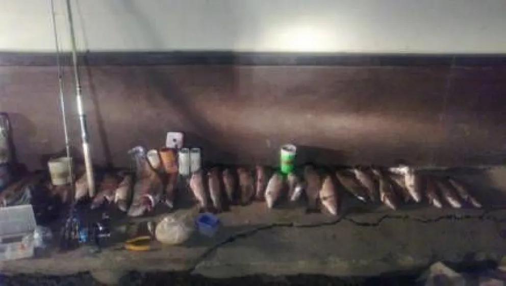 Secuestran más de 80 kilos de trucha producto de pesca furtiva