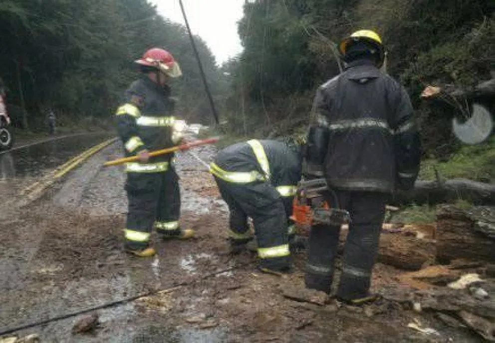 Caída de árboles y ramas, crecidas y cierre de caminos por el temporal 