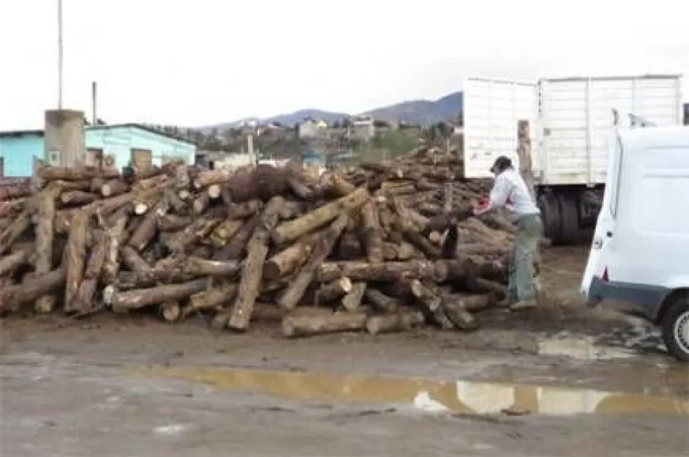 Municipio licita compra de leña por más de 900 mil pesos