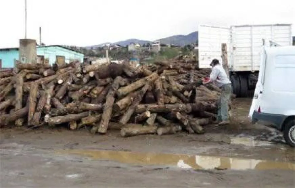 Preparan segunda entrega de leña del Plan Calor