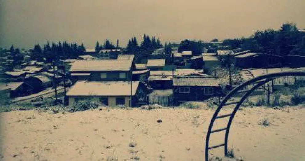 Llegó 