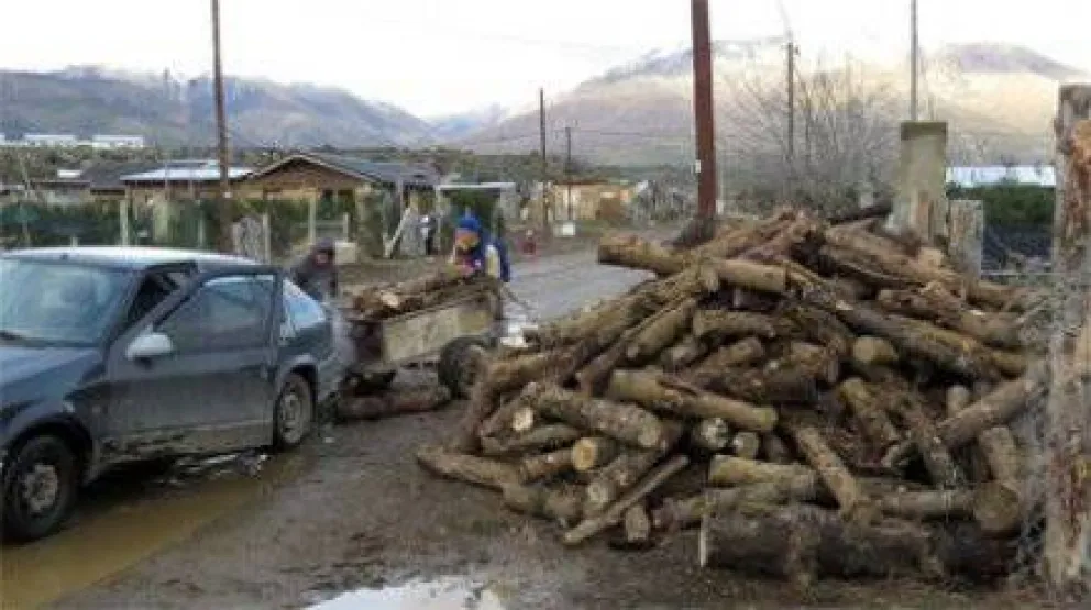 Cuadrillas municipales extienden entrega de leña del Plan Calor