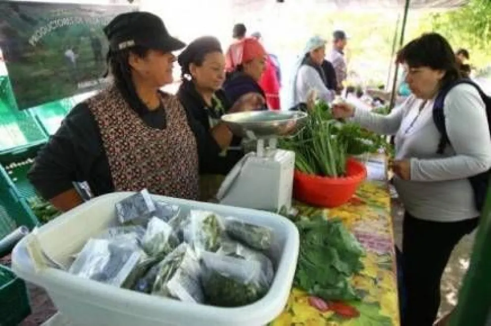 Horticultores preparan la última feria de la temporada