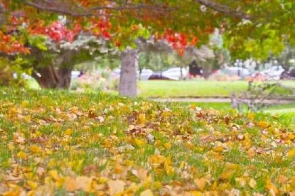 Otoño con buen clima