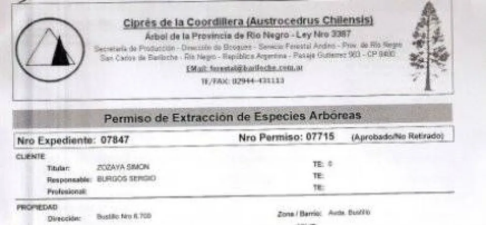 Municipio aclaró que la tala de cipreses fue autorizada por Bosques 