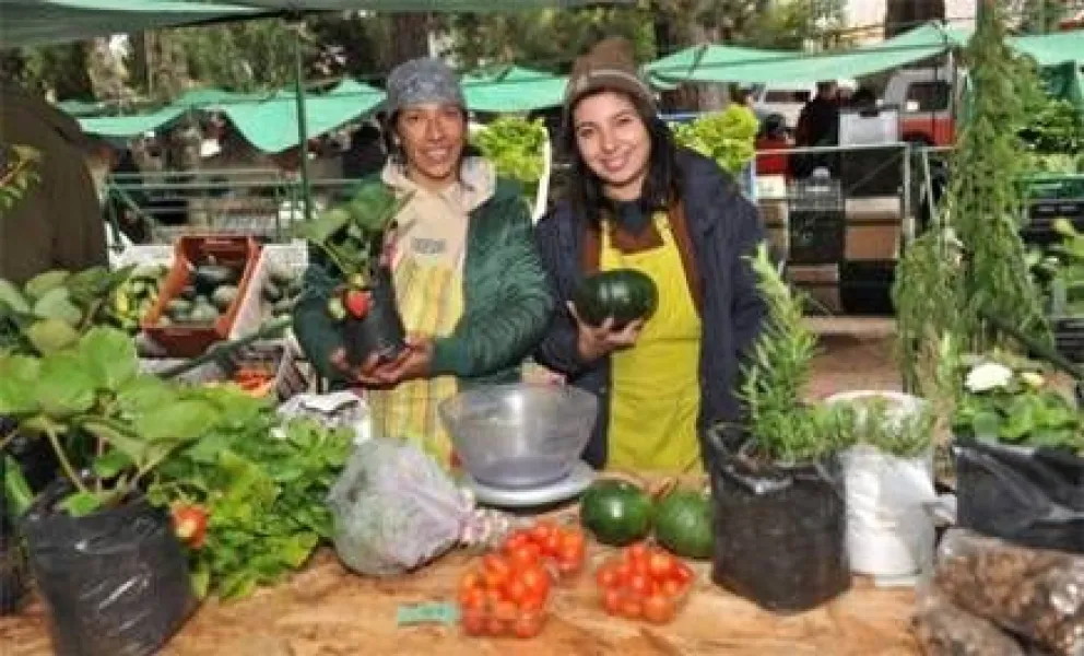 Destacan beneficios de la economía social para pequeños productores