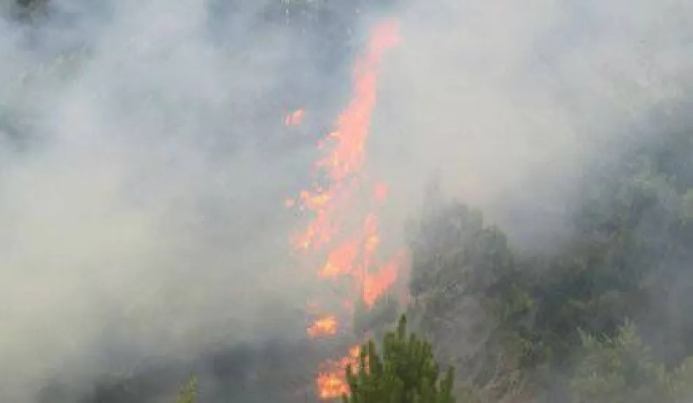 Dos incendios en la ladera del Cerro Otto