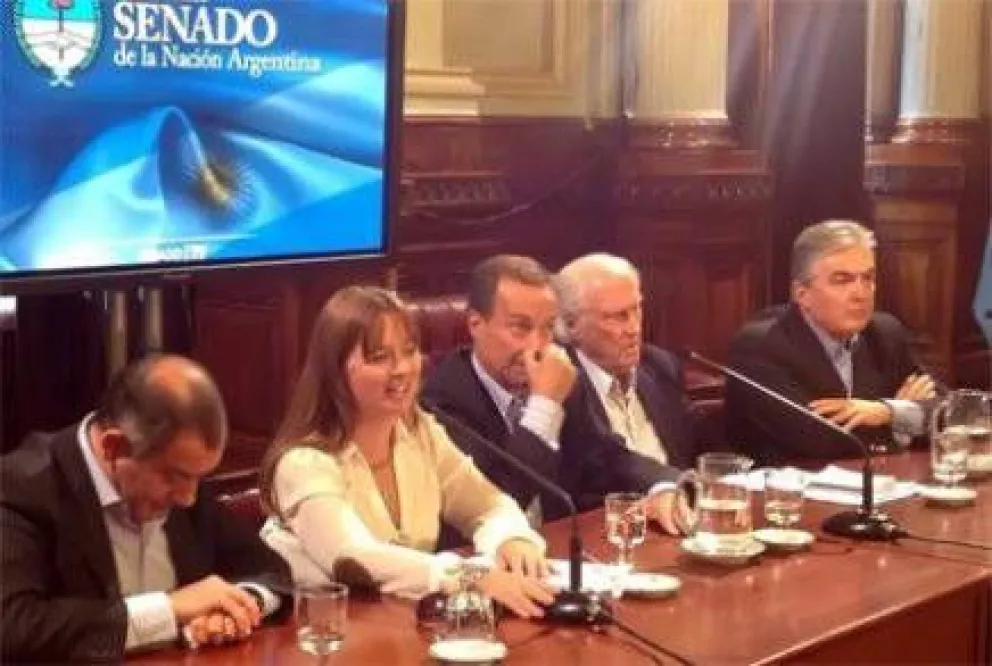 Odarda integrará un interbloque partidario en el Senado
