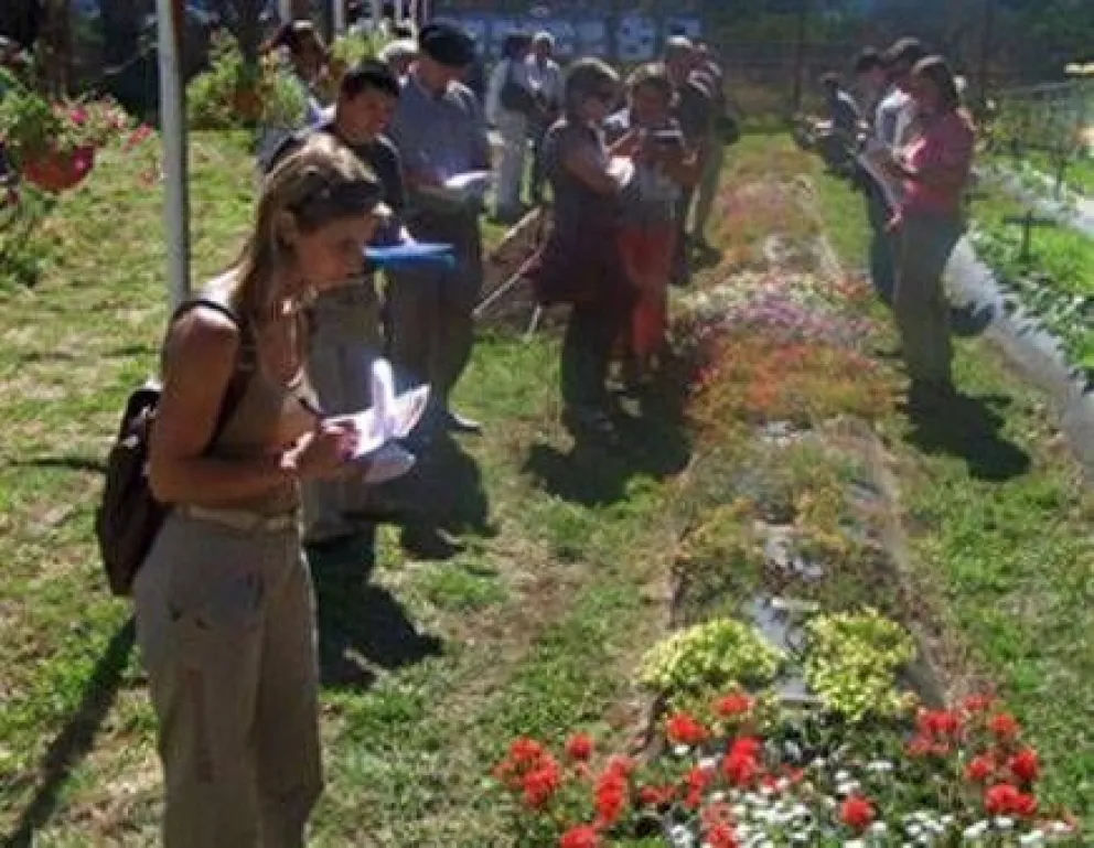 Destacan investigación del INTA en plantas ornamentales