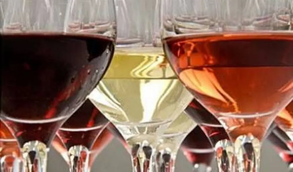 ¿Qué son y dónde se originan los ácidos del vino?