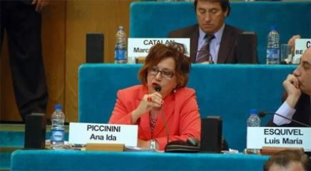 Piccinini fue apartada de su bloque legislativo