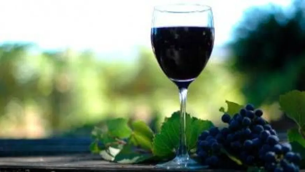 Este es el gran vino que a Usted seguro le tiene que gustar