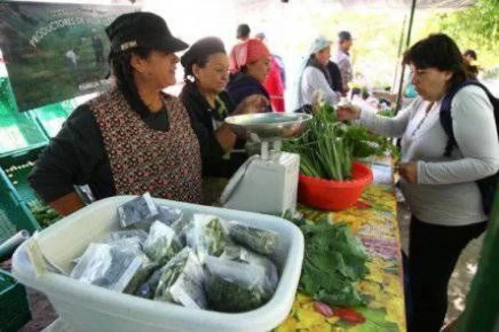 Este sábado, vuelve la Feria Franca de Horticultores