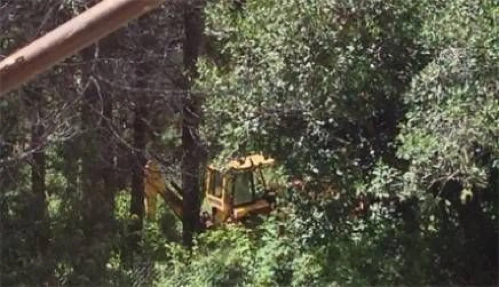 Reunieron más de 4 mil firmas para salvar bosque del barrio La Cascada