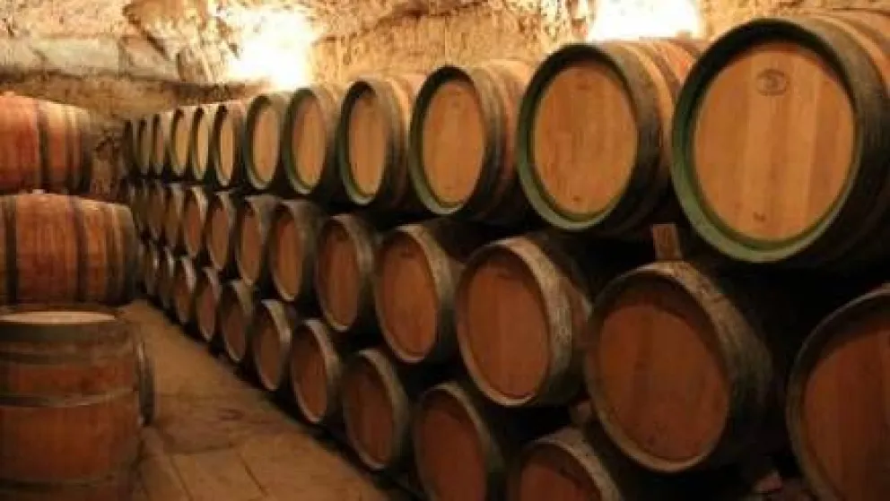 Barricas de roble francés y de roble americano: ¿en qué se diferencian?