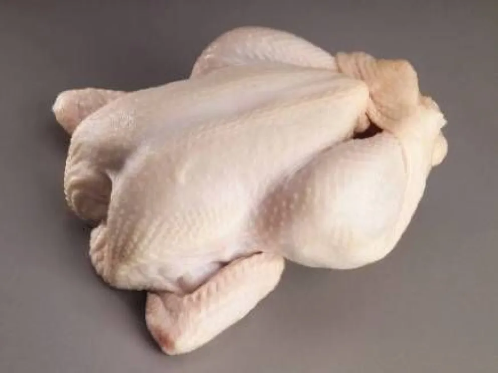 Advierten por lote de pollos contaminado con salmonella 