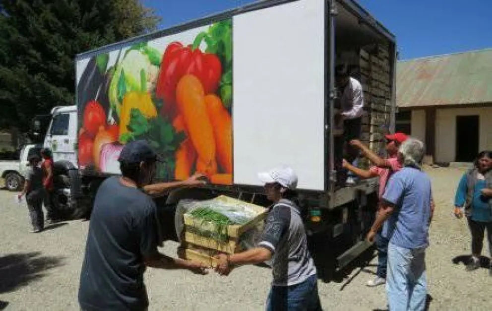  Nueva venta de verduras a precios populares