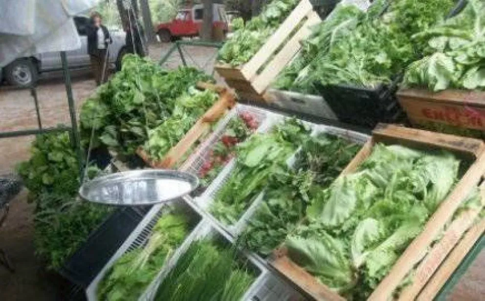 Horticultores ofrecerán sus productos en Plaza Belgrano