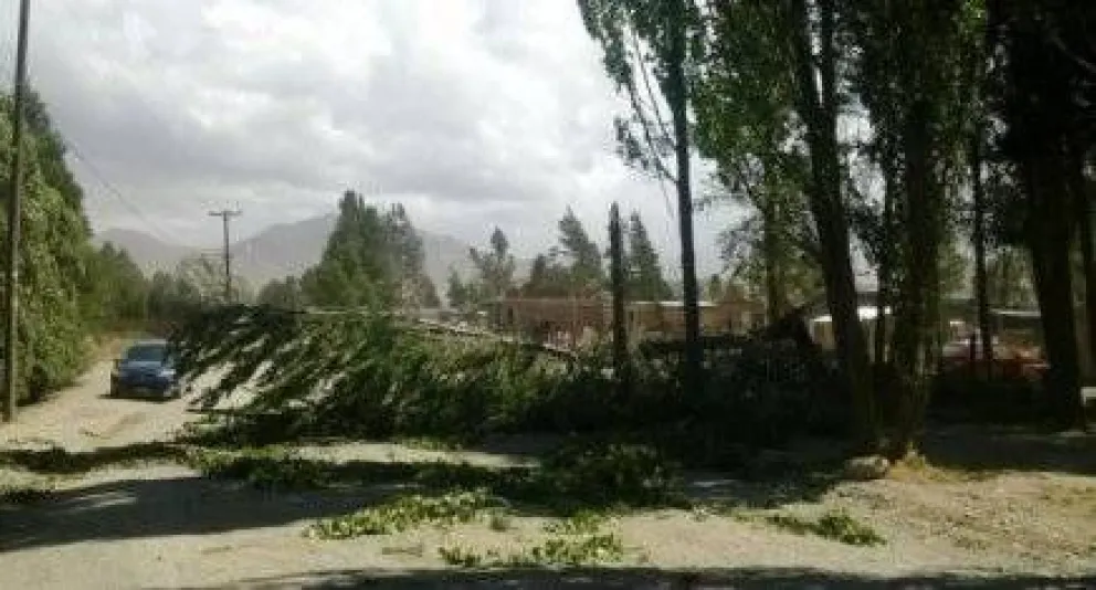 Numerosos inconvenientes por el temporal de viento