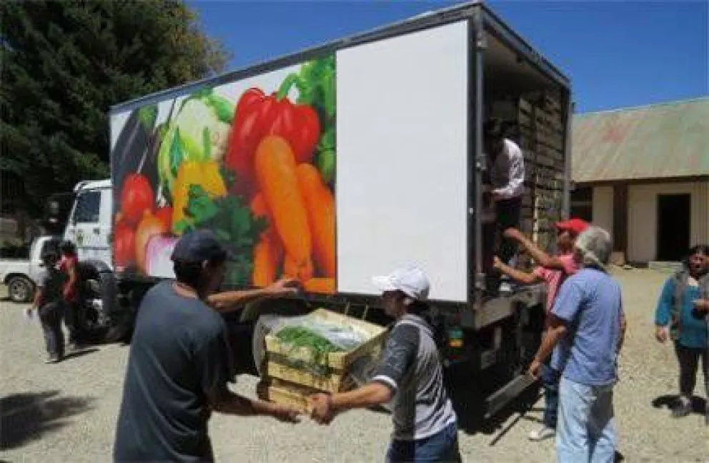 Despensas comunitarias entregarán verduras a más de 300 familias  