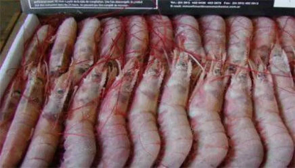 Comienza la venta de pescados y mariscos a precios populares