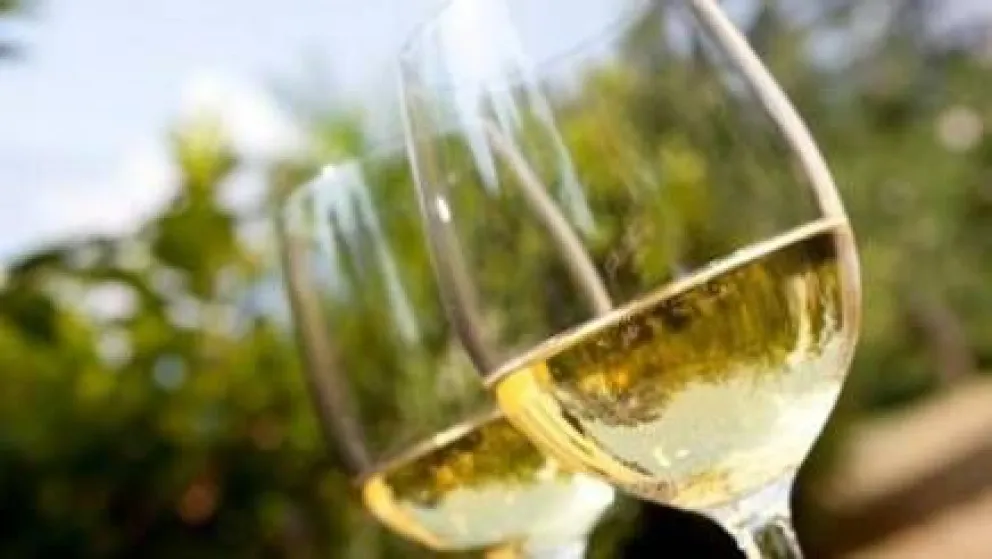 Historias curiosas: El origen de los nombres de las uvas blancas