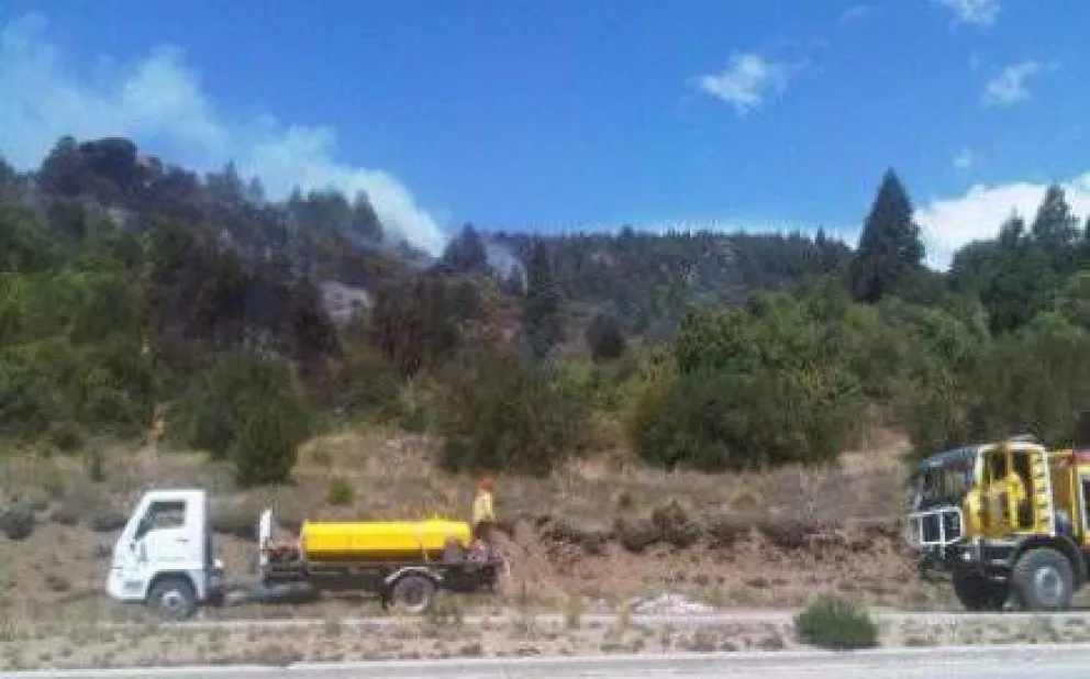 Incendio forestal en la zona de Circunvalación