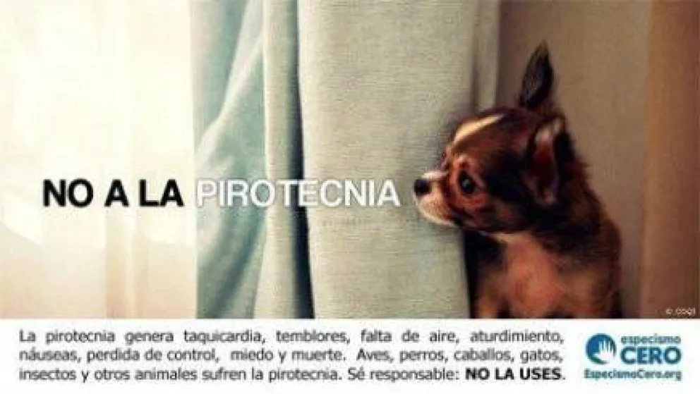 El Estado y la comunidad juntos para lograr "Pirotecnia Cero"