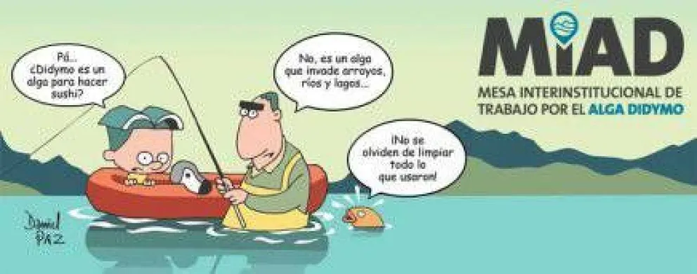 Proponen medidas para evitar propagación del Alga Didymo