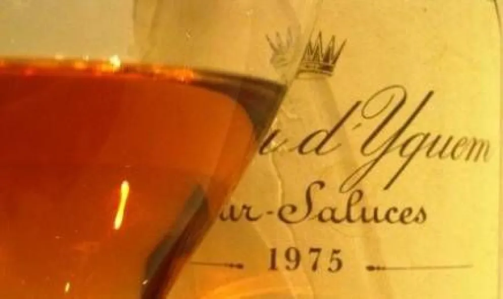 De uvas podridas, vinos excelentes... ¿cómo es posible?