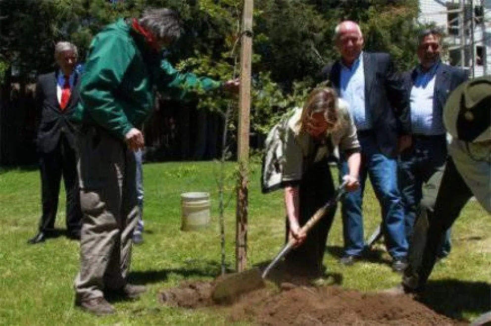 Plantarán mil árboles para embellecer el ingreso a Bariloche