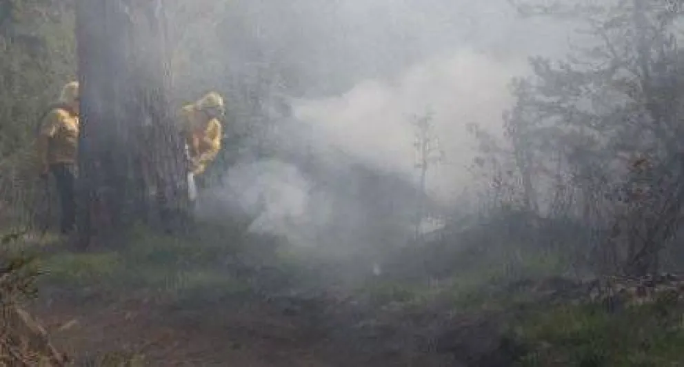Más de 100 focos de incendio intencionales en los últimos tres meses 