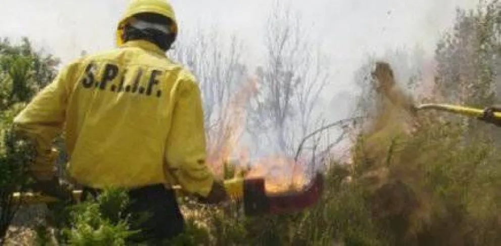 Millonario financiamiento para combatir incendios forestales