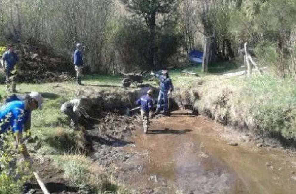 Comenzaron a poner en valor el vivero municipal