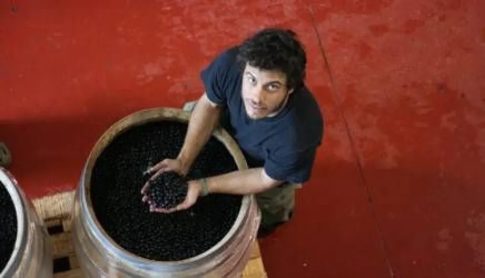 10 preguntas a Sebastián Zuccardi: pasión por el terruño