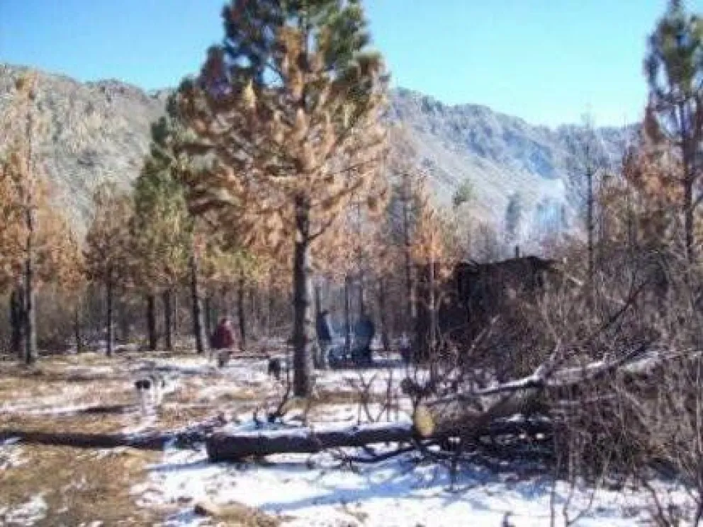 Denuncian que Provincia autorizó cateos mineros en territorio mapuche