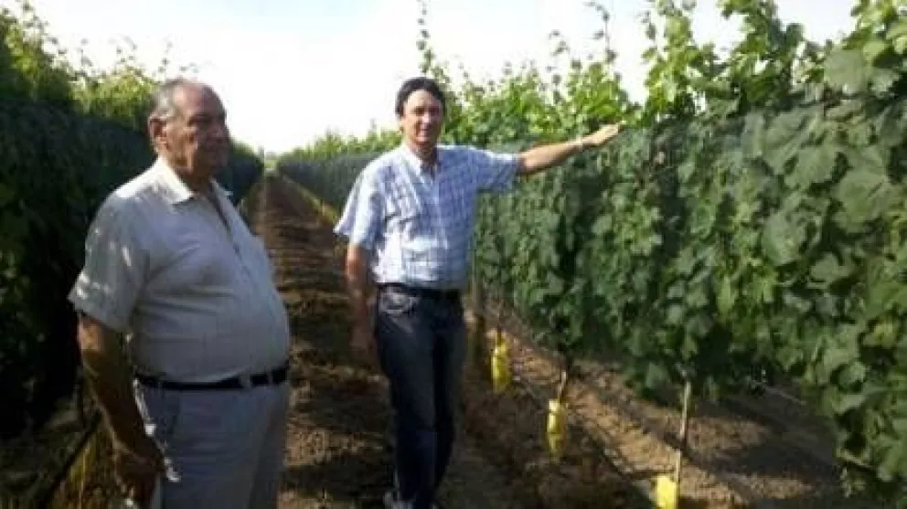 Testigos y actores de la historia del vino argentino