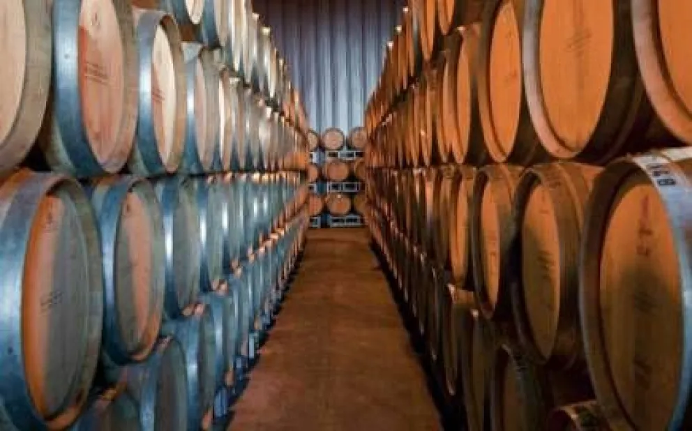 Los vinos del Fin del Mundo