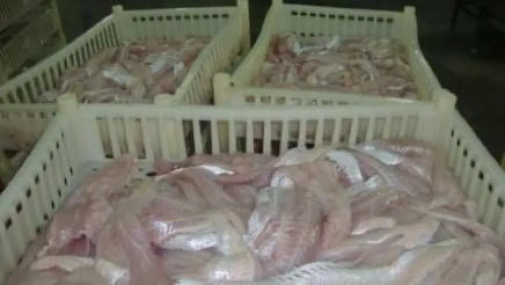 Pescadores de SAO venderán mercadería a bajo costo en Bariloche