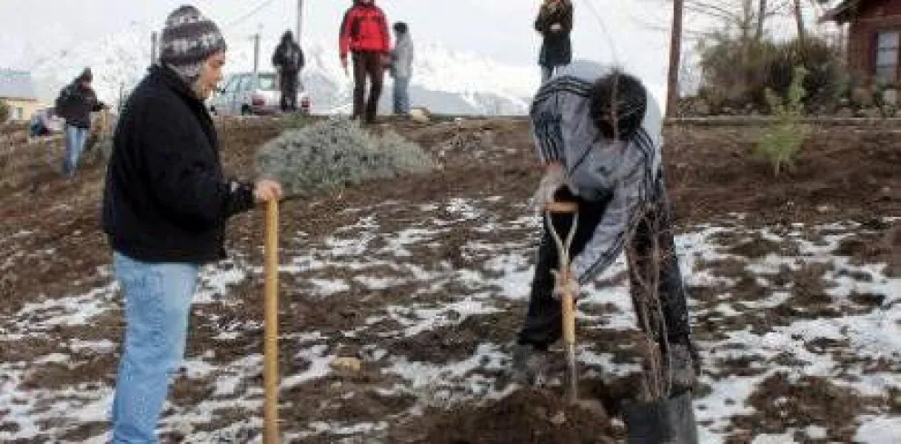 Plantan árboles en distintos barrios de Bariloche