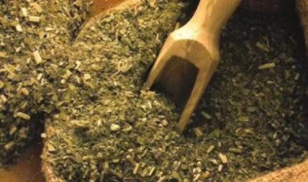 Venderán yerba a "precio justo"