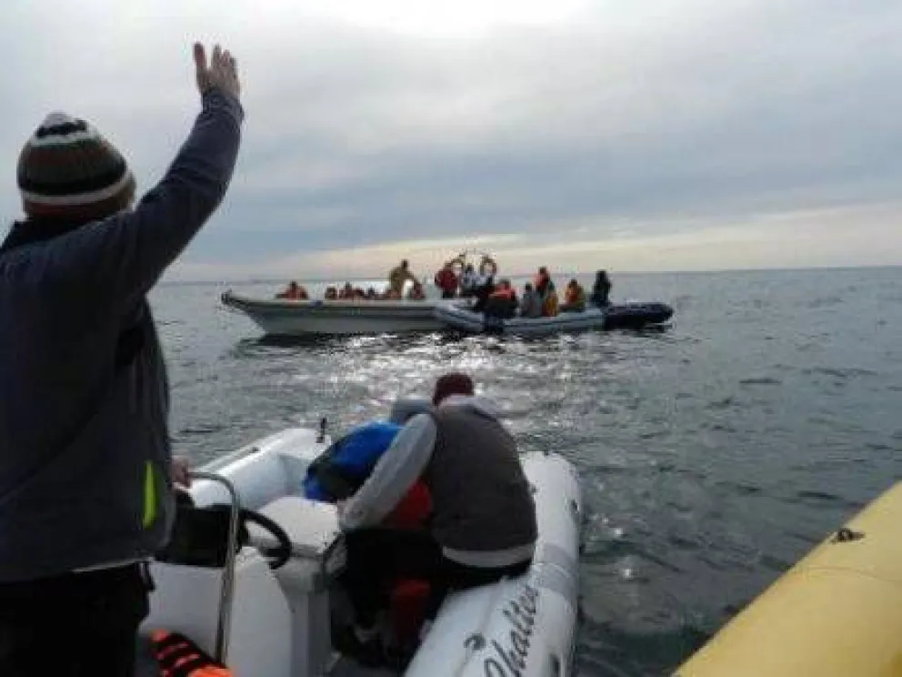 En Las Grutas, comenzó temporada de avistaje de fauna marina